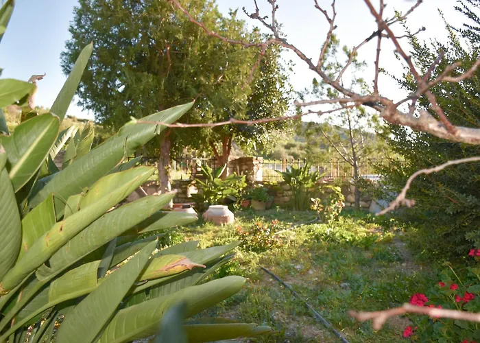 Zaros Traditional House